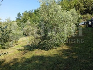 Terreno agricolo in Vendita a Pontelatone, 30'000€, 14586 m²