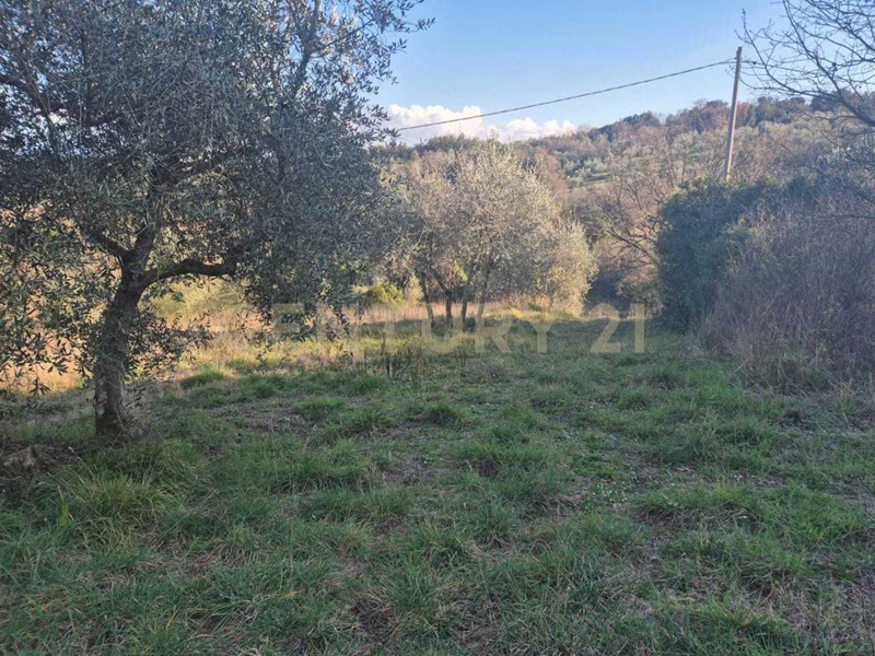 Casa Indipendente in Vendita a Civitella Paganico, zona Civitella Marittima, 38'000€, 121 m²