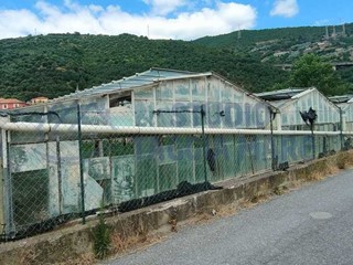 Terreno agricolo in Vendita a Taggia, 35'000€, 950 m²