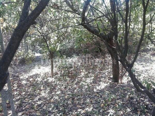 Terreno edificabile in Vendita a Napoli, 195'000€, 1050 m²