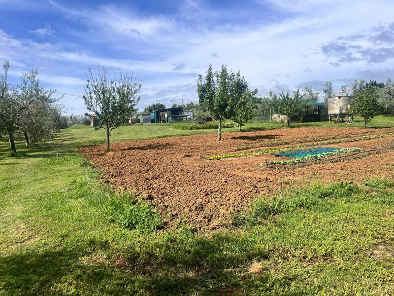 Terreno agricolo in Vendita a Cecina, 100'000€, 4000 m²