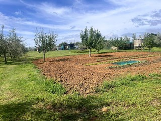 Terreno agricolo in Vendita a Cecina, 100'000€, 4000 m²
