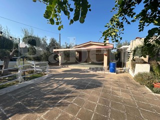 Terreno agricolo in Vendita a Canosa di Puglia, 78'999€, 7500 m²