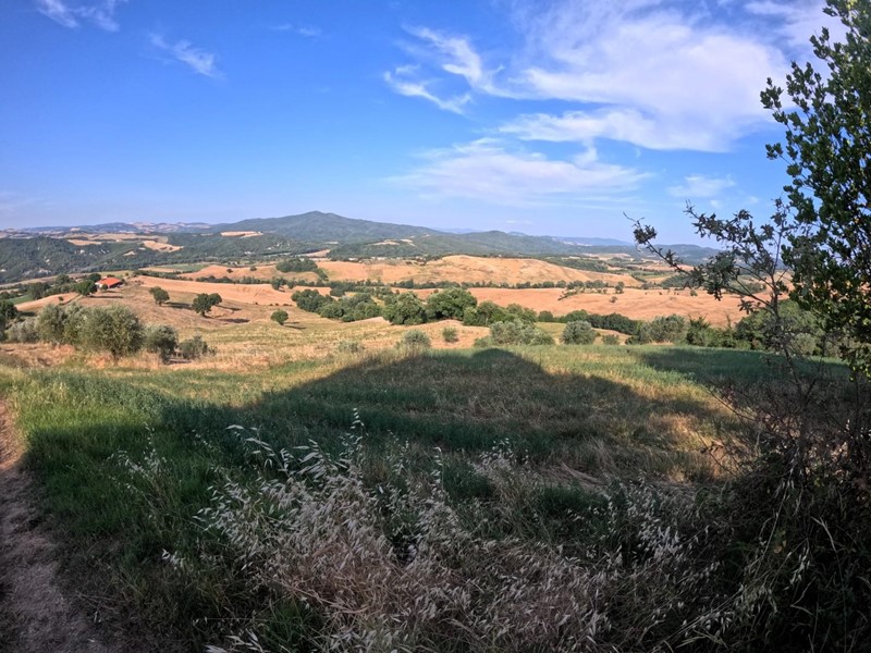 Attività commerciale in Vendita a Pomarance, 1'300'000€, 1500 m²