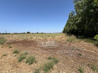 Terreno agricolo in Vendita a Alghero, 128'000€, 40000 m²