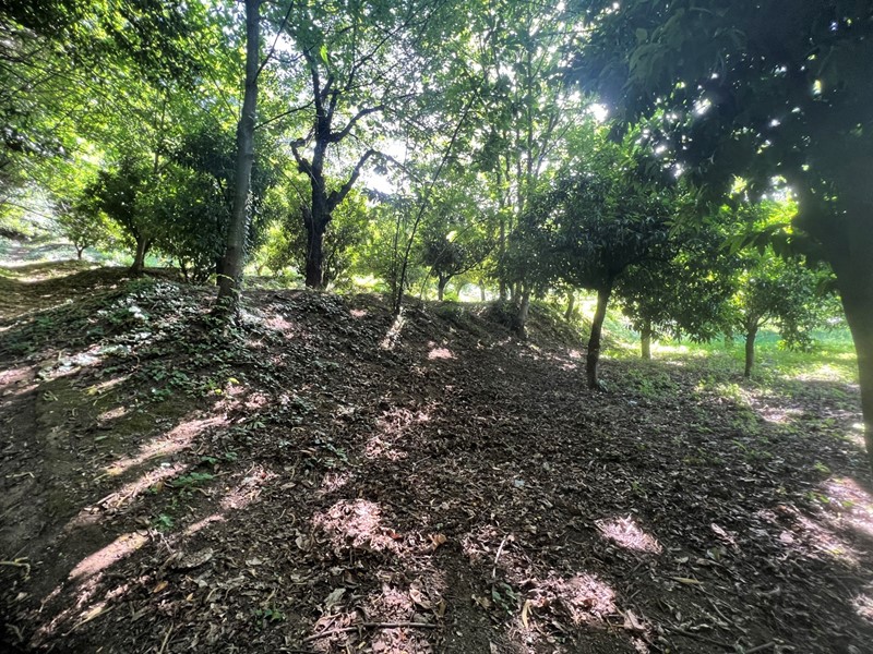 Terreno agricolo in Vendita a Nocera Superiore, 90'000€, 10500 m²