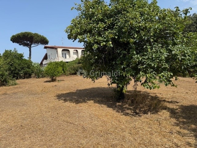 Terreno edificabile in Vendita a Nettuno, 60'000€, 814 m²