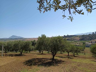 Terreno agricolo in Vendita a Balestrate, 40'000€, 5120 m²