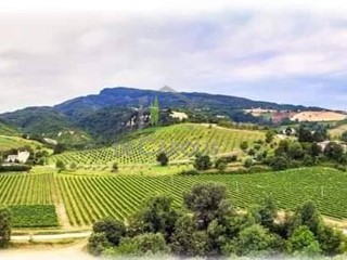 Terreno agricolo in Vendita a Rotella, 79'000€, 30000 m²