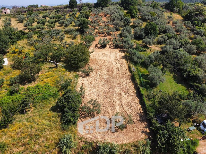 Terreno agricolo in Vendita a Palombara Sabina, 10'000&euro;, 2670 m²