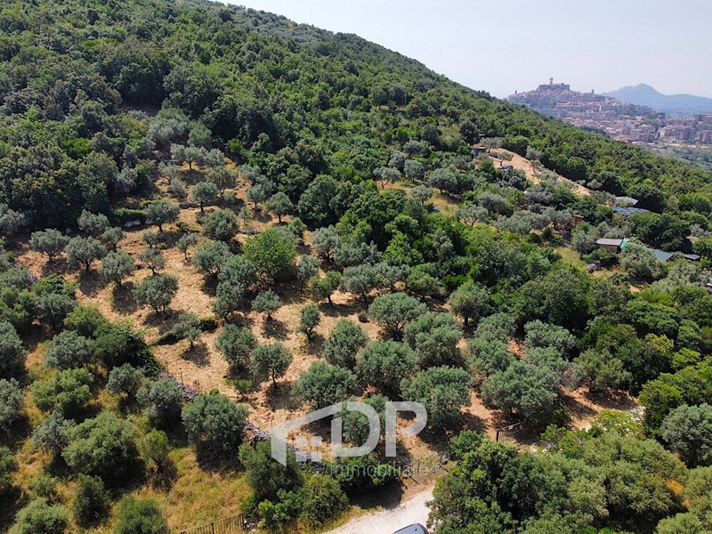 Terreno agricolo in Vendita a Palombara Sabina, 16'000&euro;, 7950 m²