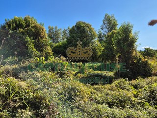 Terreno edificabile in Vendita a Portico di Caserta, 109'000€, 440 m²