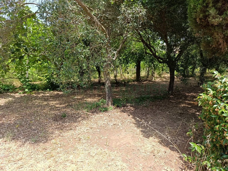 Terreno edificabile in Vendita a Pastorano, 130'000€, 3000 m²