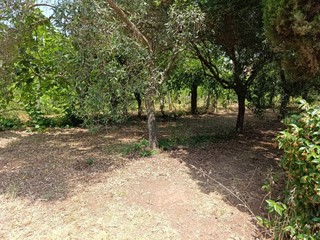 Terreno edificabile in Vendita a Pastorano, 130'000€, 3000 m²