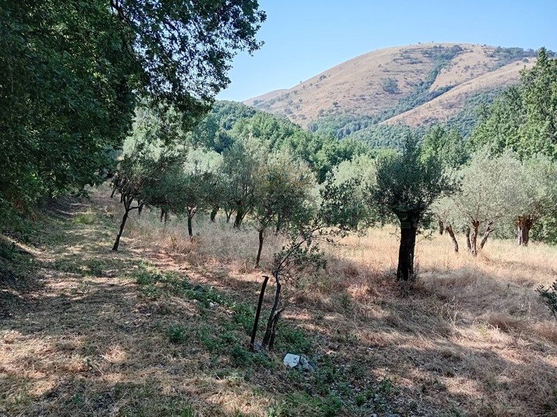 Terreno agricolo in Vendita a Giano Vetusto, 28'000€, 11000 m²