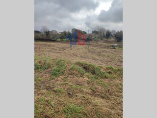 Terreno agricolo in Vendita a Albano Laziale, 29'000€, 3800 m²
