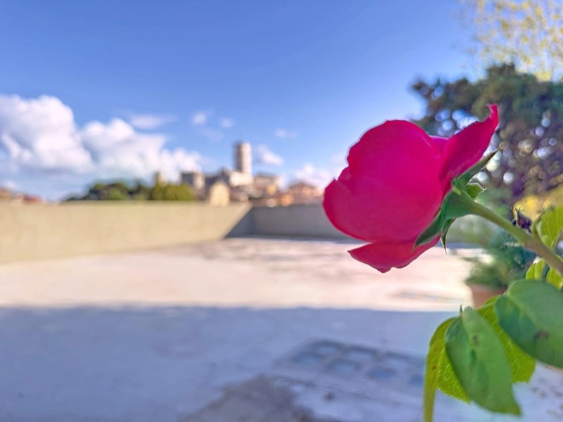 Attico in Vendita a Monterotondo, 300 m²