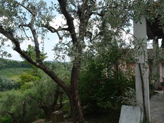 Rustico in Vendita a Montespertoli, 295'000€, 200 m²