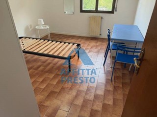 Stanza in Affitto a Empoli, 300&euro;, 19 m²