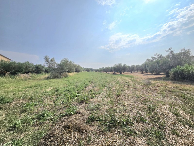 Terreno agricolo in Vendita a Cepagatti, 49'000€, 5960 m²