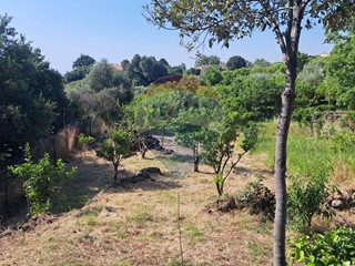 Terreno agricolo in Vendita a Mascali, 38'000€, 4261 m²