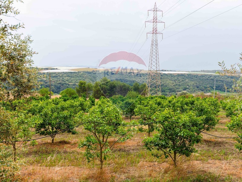 Terreno agricolo in Vendita a Caltagirone, 69'000€, 35000 m²