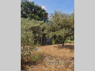 Terreno agricolo in Vendita a Mascalucia, 65'000€, 4852 m²