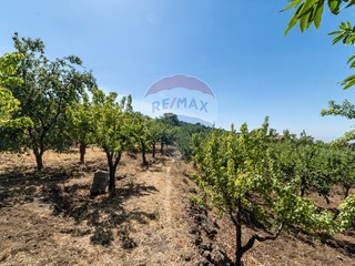 Terreno agricolo in Vendita a Centuripe, 6'000&euro;, 5000 m²
