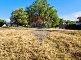 Terreno edificabile in Vendita a Linguaglossa, 510'000&euro;, 6800 m²