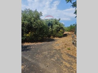 Terreno agricolo in Vendita a Mascalucia, 75'000€, 4852 m²