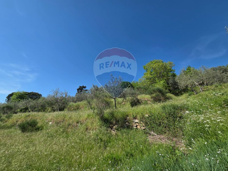 Terreno agricolo in Vendita a Castelfranco Piandiscò, 10'000€, 5380 m²