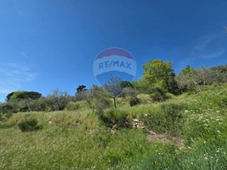 Terreno agricolo in Vendita a Castelfranco Piandiscò, 10'000€, 5380 m²