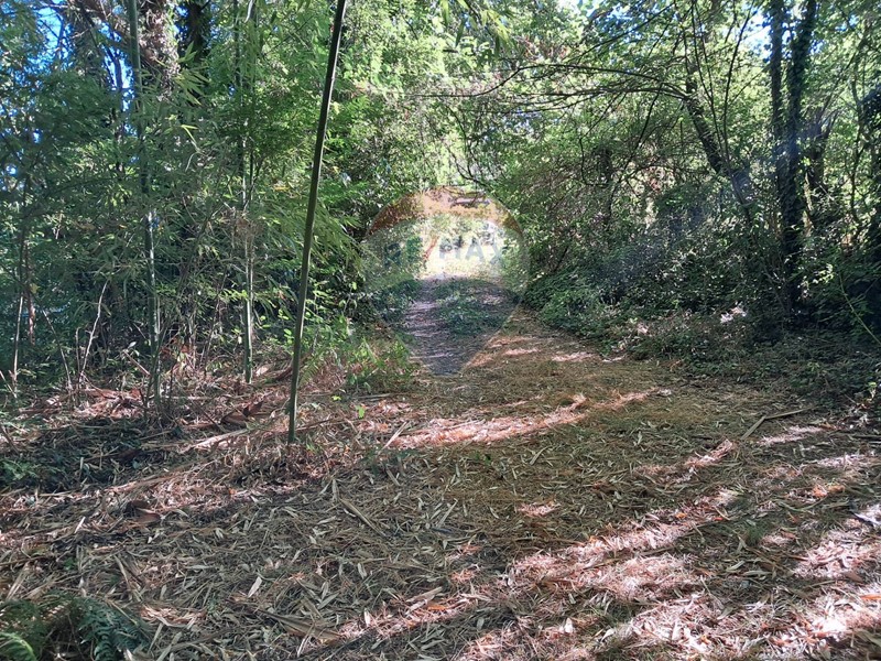 Terreno agricolo in Vendita a Reggello, 25'000€, 500 m²