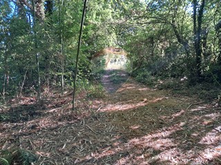 Terreno agricolo in Vendita a Reggello, 25'000€, 500 m²