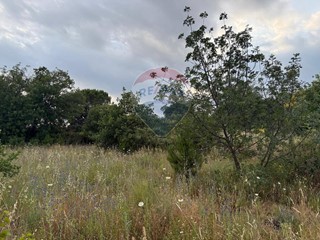 Terreno agricolo in Vendita a Nicolosi, 45'000€, 5400 m²