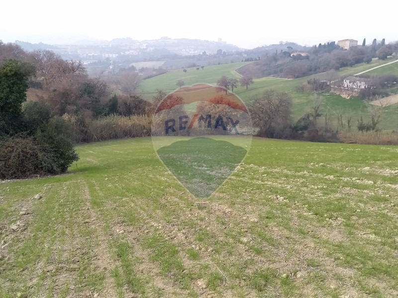 Terreno agricolo in Vendita a Ancona, 69'000€, 63000 m²