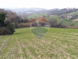 Terreno agricolo in Vendita a Ancona, 69'000€, 63000 m²
