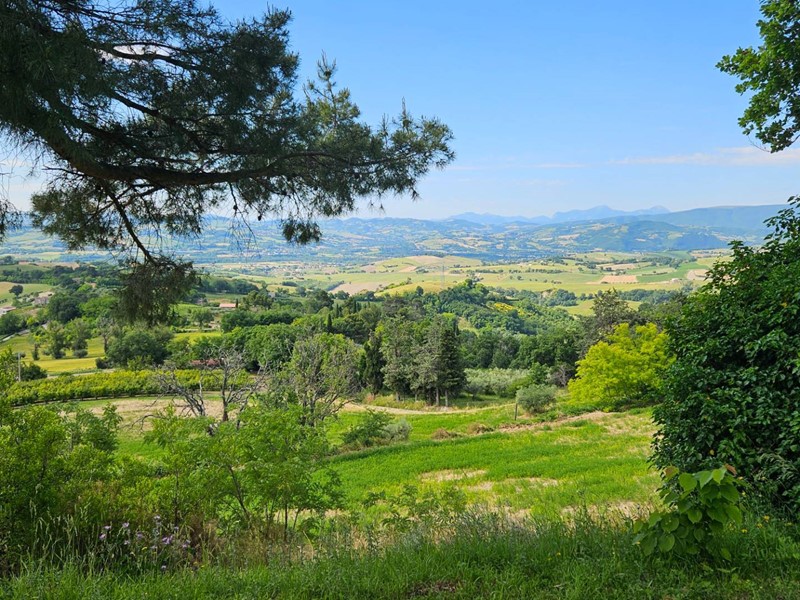 Villa in Vendita a Colli al Metauro, 415'000&euro;, 300 m²