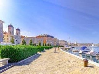 Attività commerciale in Vendita a Trieste, 250 m²