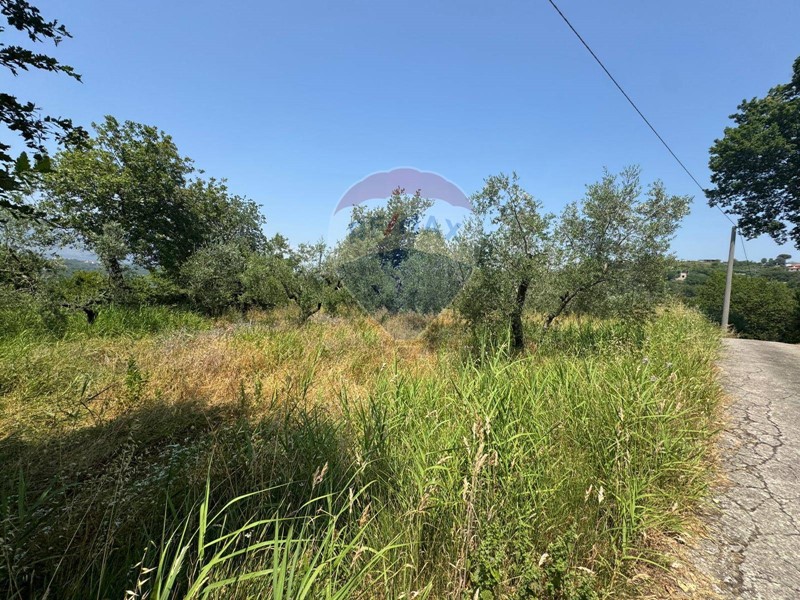 Terreno agricolo in Vendita a Minturno, 12'000€, 2429 m²