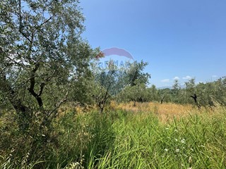 Terreno agricolo in Vendita a Minturno, 12'000€, 2429 m²