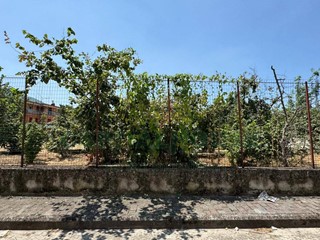 Terreno edificabile in Vendita a Mugnano del Cardinale, 100'000€, 650 m²