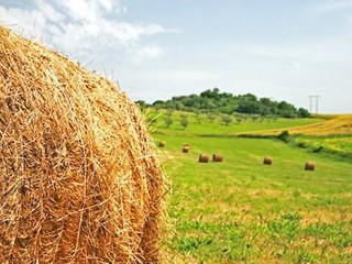 Terreno agricolo in Vendita a Mombaroccio, 18000 m²