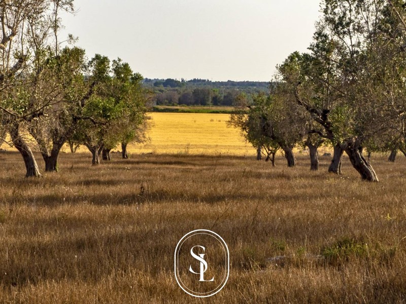 Rustico in Vendita a Nardò, 4'000'000€, 800 m²