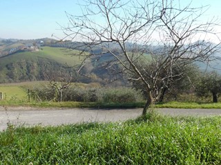 Terreno agricolo in Vendita a Monteprandone, 19'000€, 8040 m²