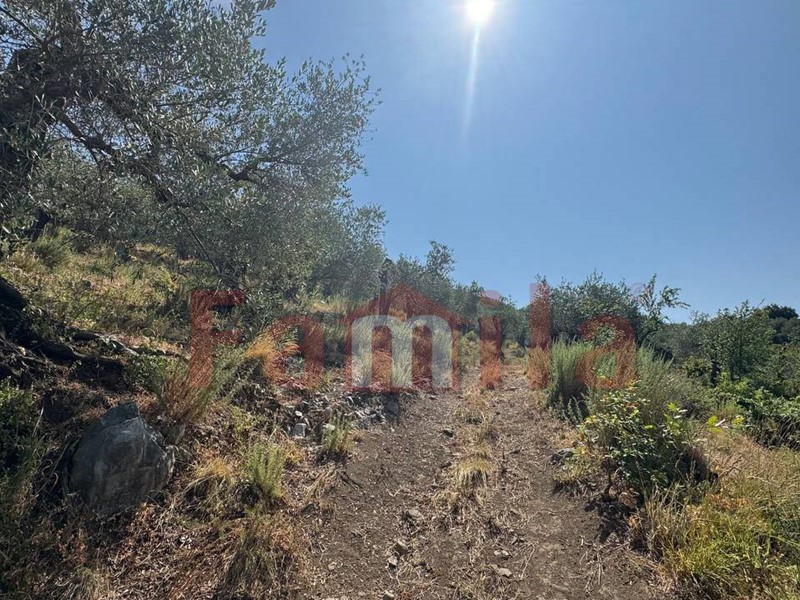 Terreno agricolo in Vendita a Avella, 45'000&euro;, 10800 m²