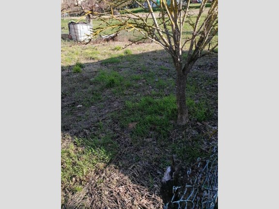 Casa Indipendente in Vendita a Casciana Terme Lari, 95'000€, 136 m², arredato, con Box