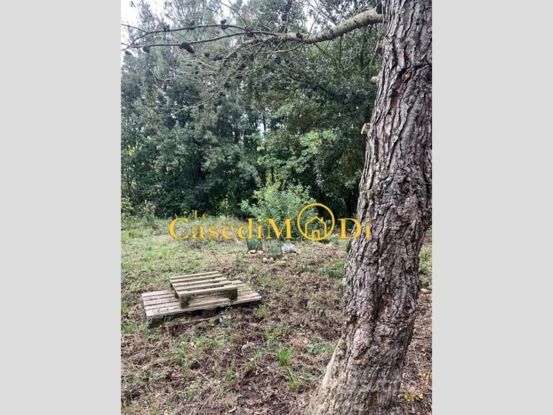 Terreno agricolo in Vendita a Livorno, zona Castellaccio, 27'000&euro;, 1800 m²
