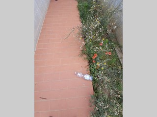 Quadrilocale in Vendita a Terricciola, zona La Rosa, 135'000€, 97 m², con Box