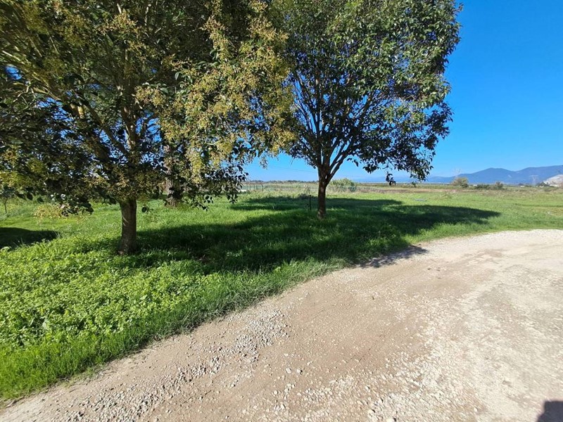 Casa Indipendente in Vendita a Crespina Lorenzana, 190'000€, 323 m², arredato